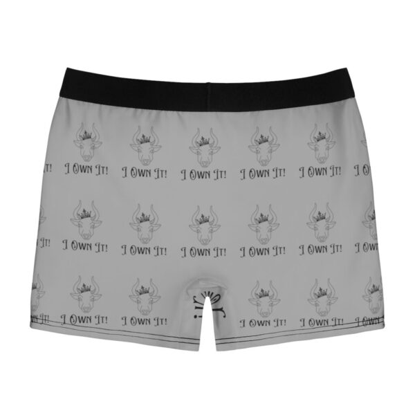 I Own It! - Men's Boxer Briefs