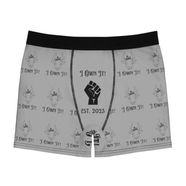 I Own It! - Men's Boxer Briefs